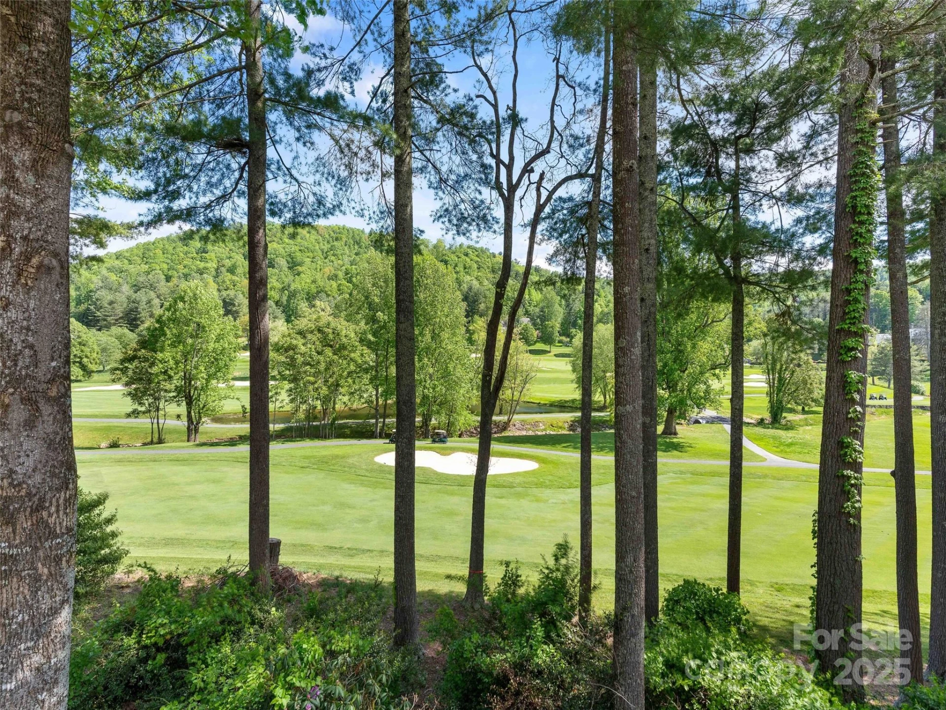 161 Winding Meadows Drive - Photo 15