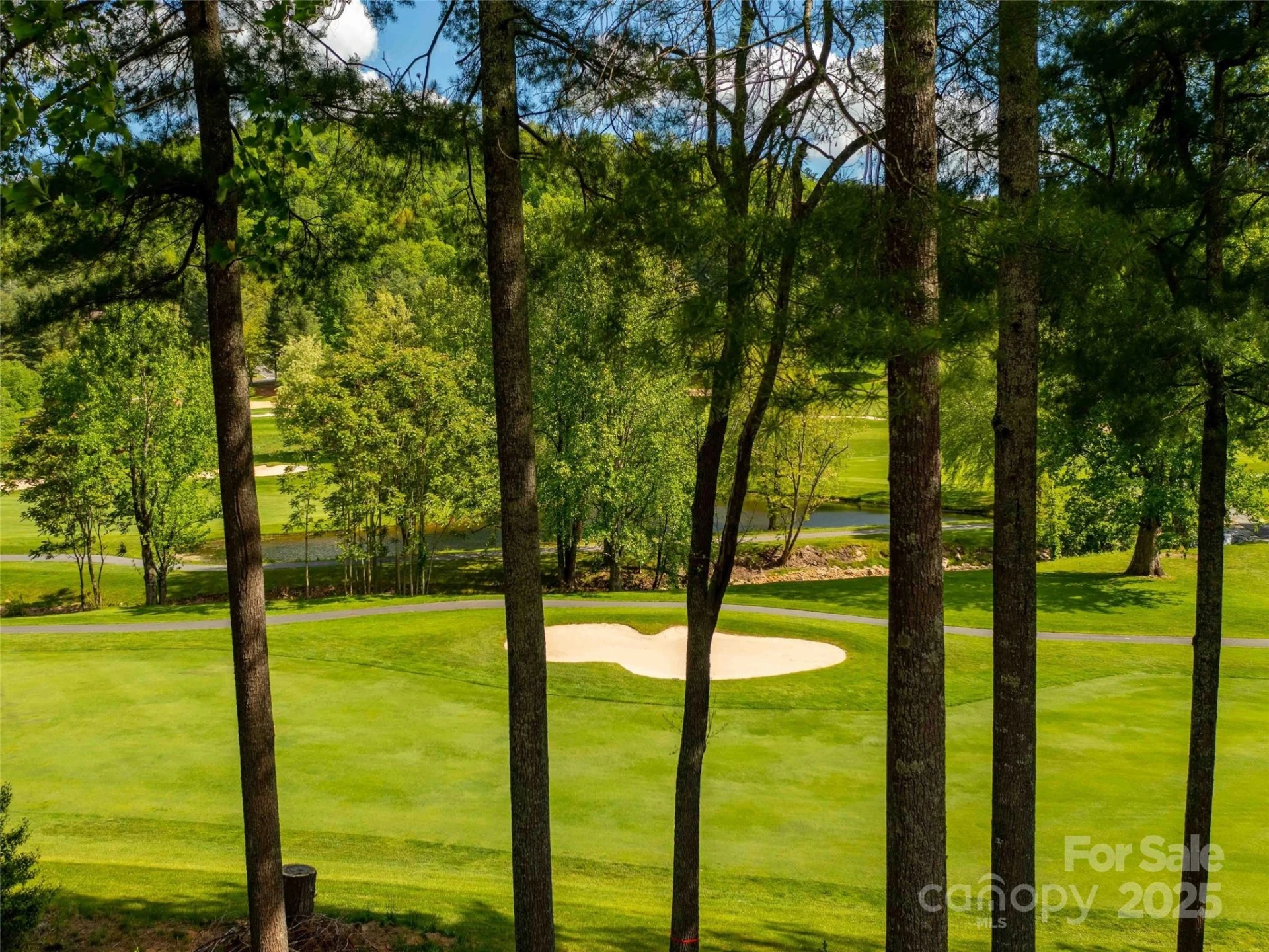 161 Winding Meadows Drive - Photo 39