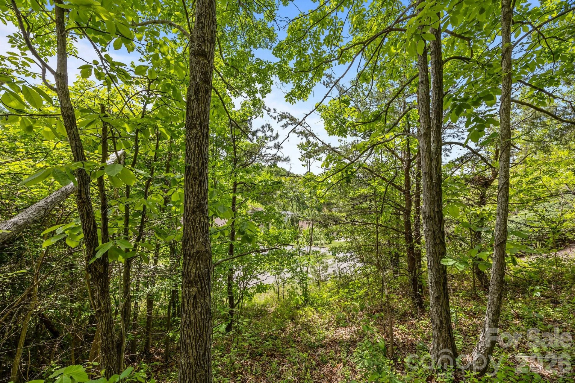 46 Hawtree Court #255 - Photo 18