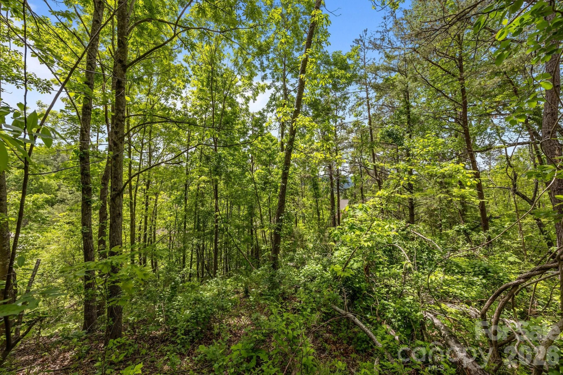 46 Hawtree Court #255 - Photo 21