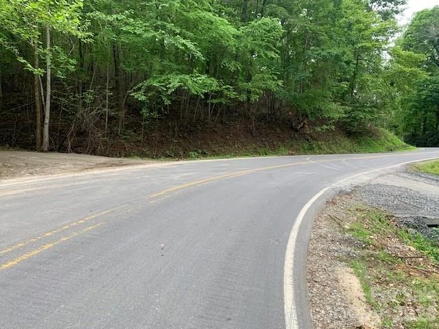 42.16 ACS GREEN RIVER COVE Road #42.162 AC. - Photo 2