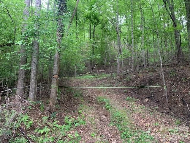 42.16 ACS GREEN RIVER COVE Road #42.162 AC. - Photo 3