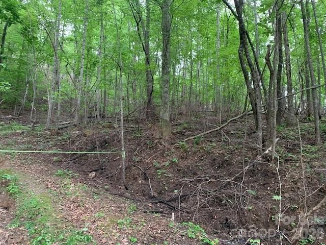 42.16 ACS GREEN RIVER COVE Road #42.162 AC. - Photo 4