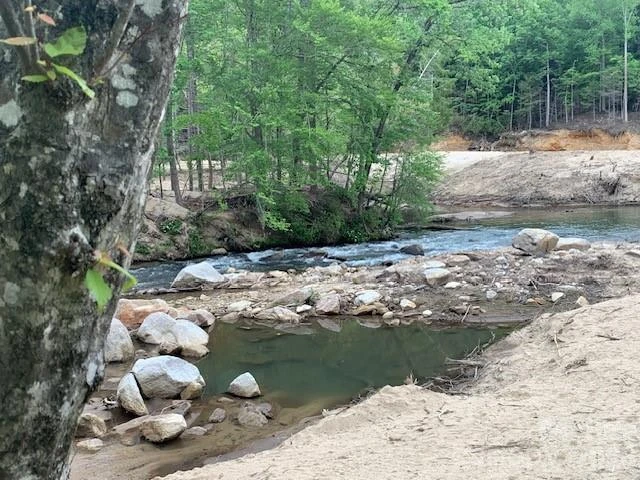 42.16 ACS GREEN RIVER COVE Road #42.162 AC. - Photo 5