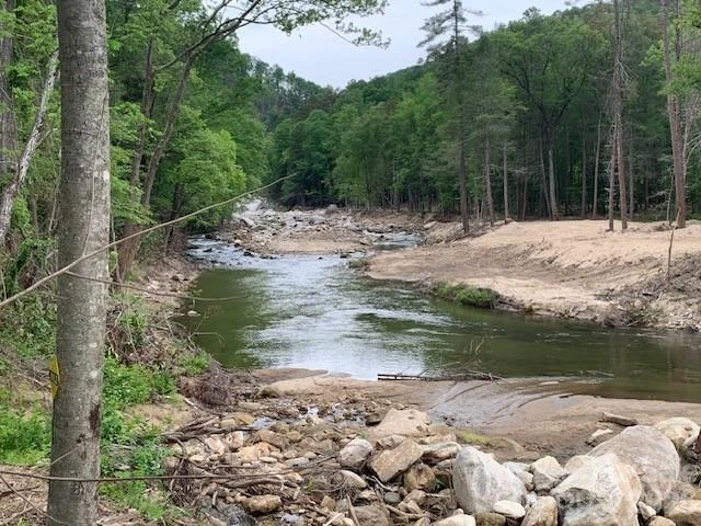 42.16 ACS GREEN RIVER COVE Road #42.162 AC. - Photo 6
