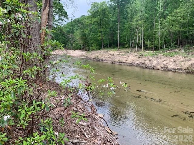 42.16 ACS GREEN RIVER COVE Road #42.162 AC. - Photo 8