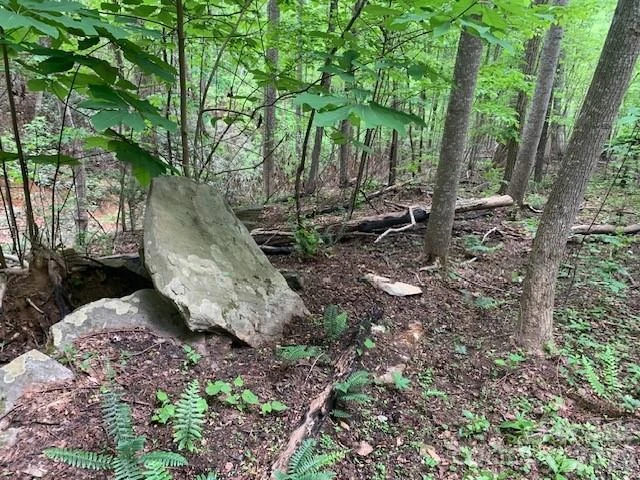 42.16 ACS GREEN RIVER COVE Road #42.162 AC. - Photo 12