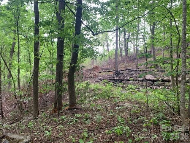 42.16 ACS GREEN RIVER COVE Road #42.162 AC. - Photo 14