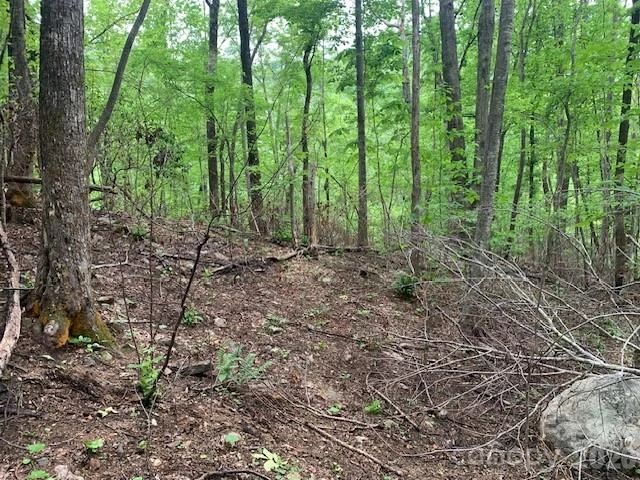 42.16 ACS GREEN RIVER COVE Road #42.162 AC. - Photo 16