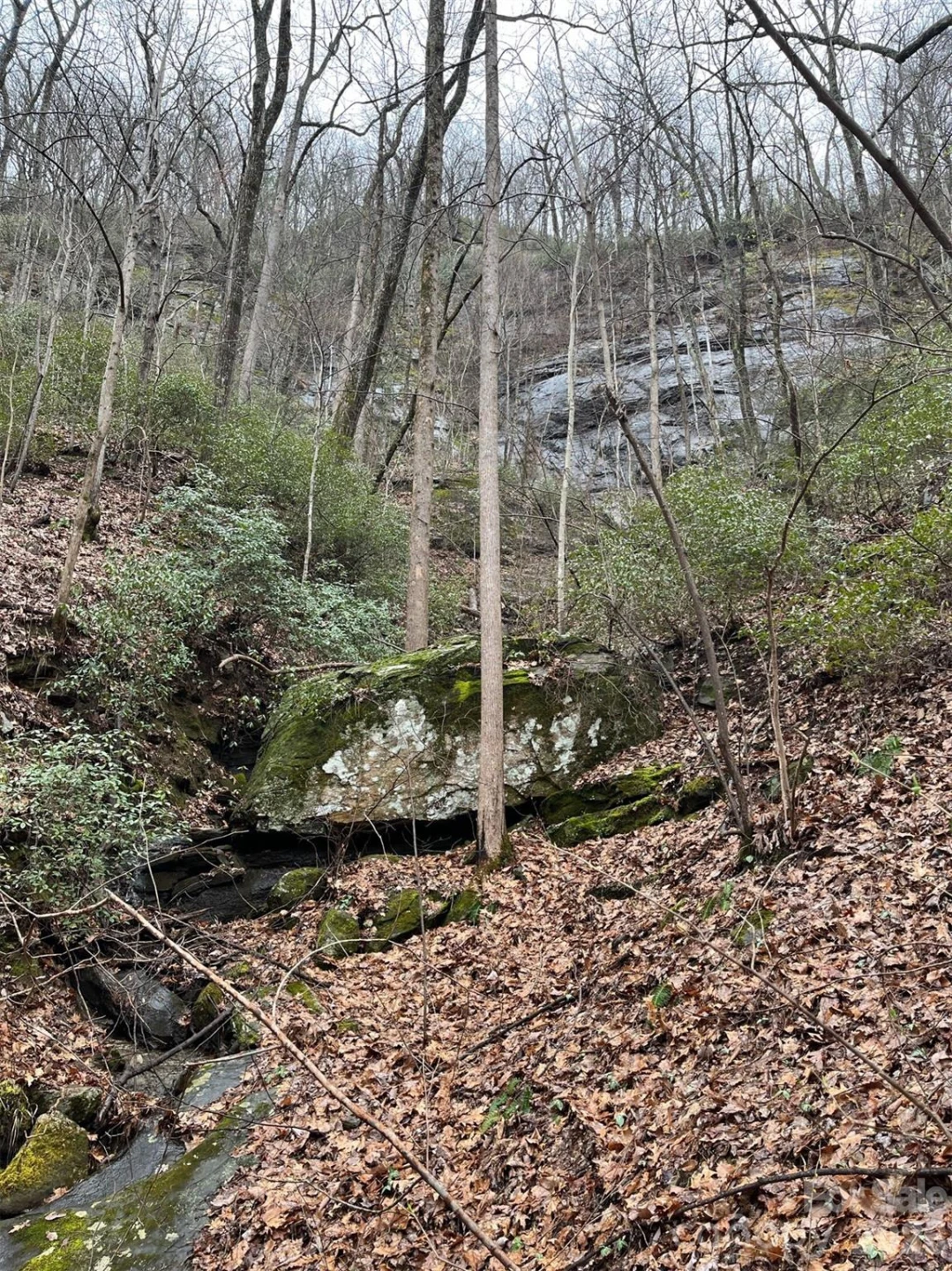 42.16 ACS GREEN RIVER COVE Road #42.162 AC. - Photo 23