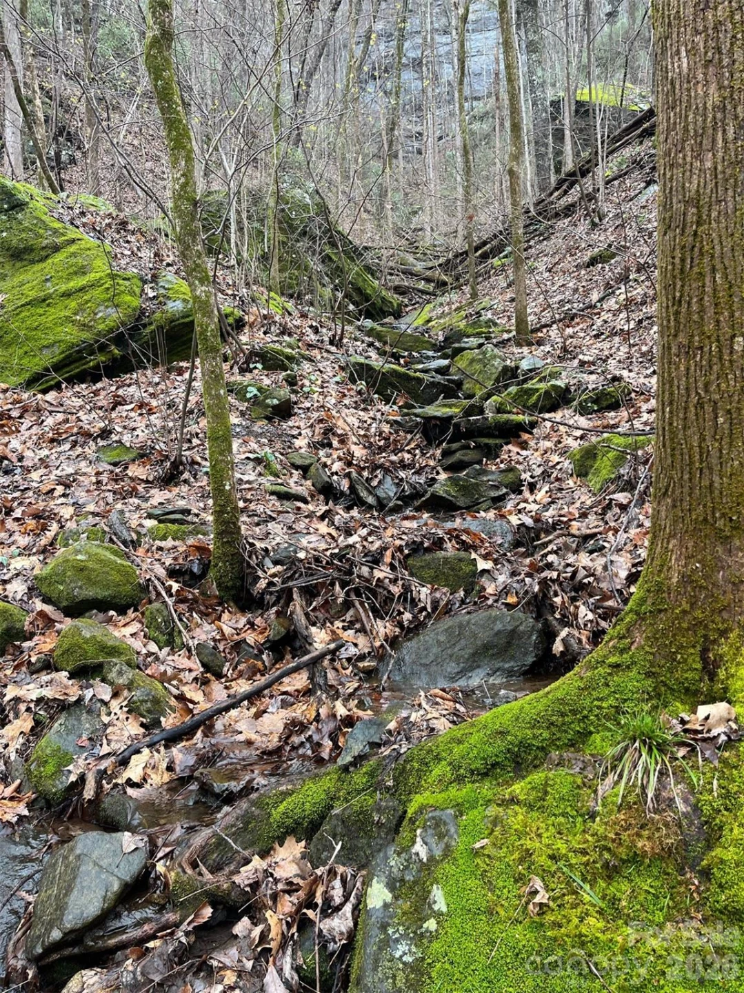 42.16 ACS GREEN RIVER COVE Road #42.162 AC. - Photo 28