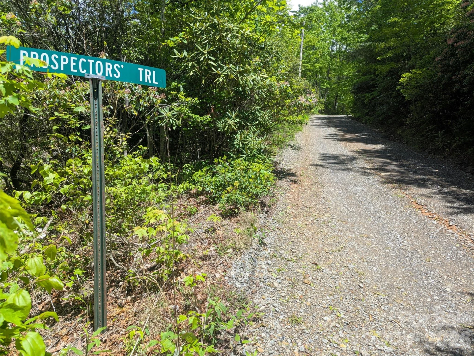 99999 Prospectors Trail