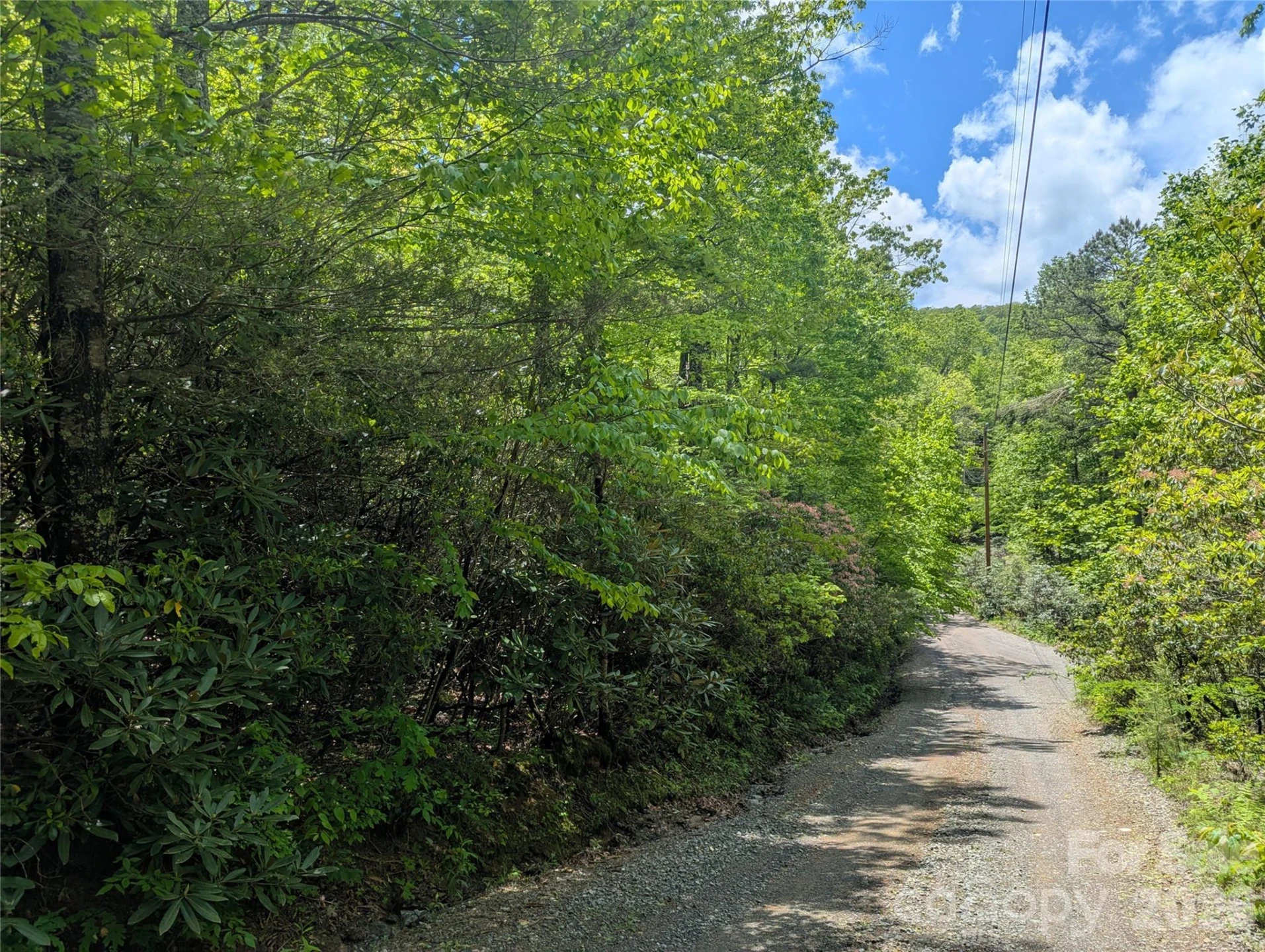 99999 Prospectors Trail - Photo 4