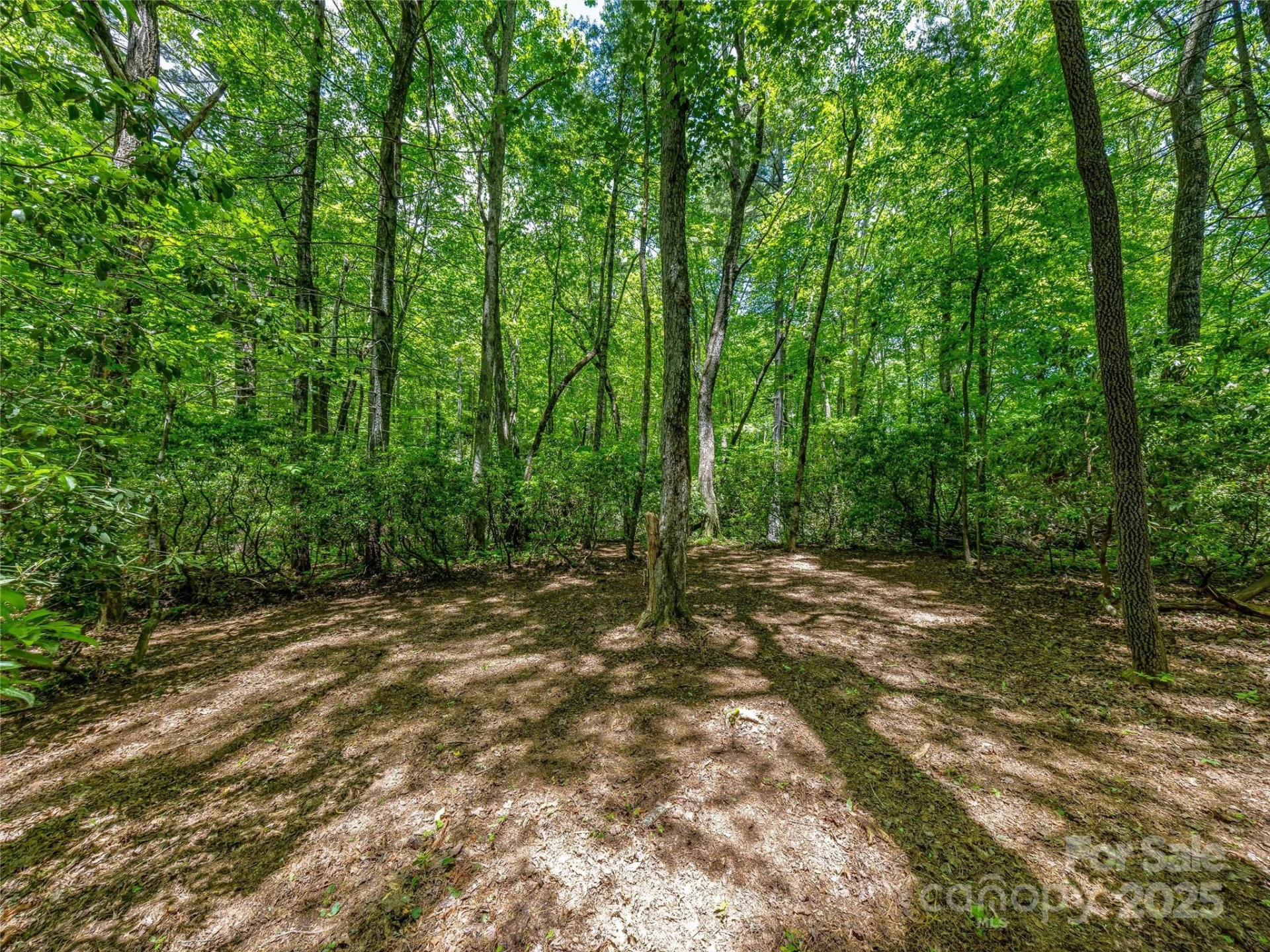J 33 Cherokee Point - Photo 7
