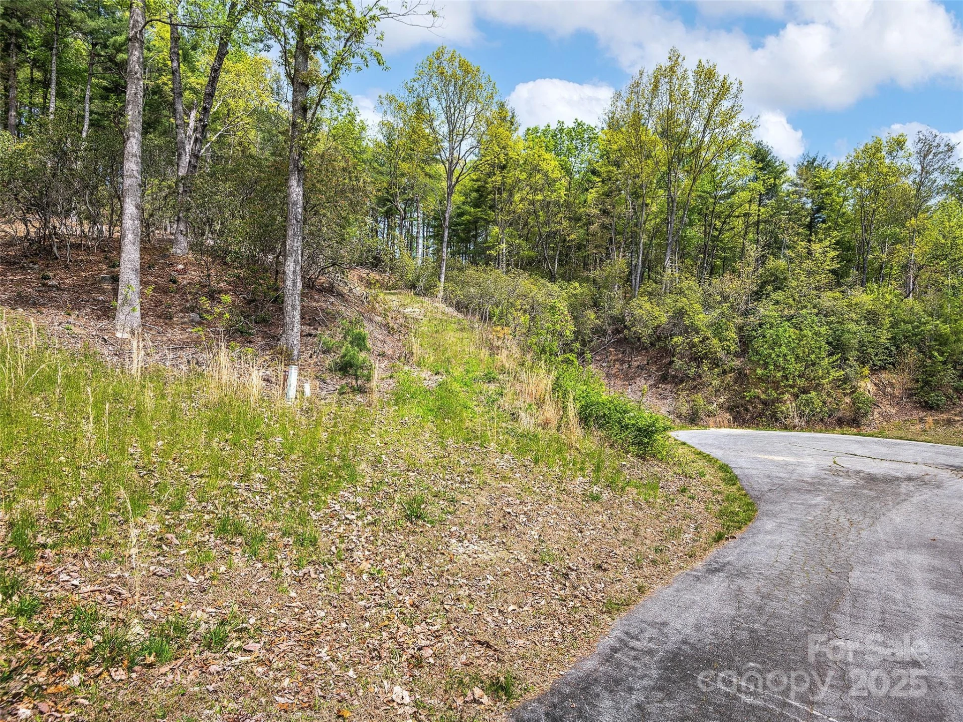 Lot #53 Winterberry Drive - Photo 6