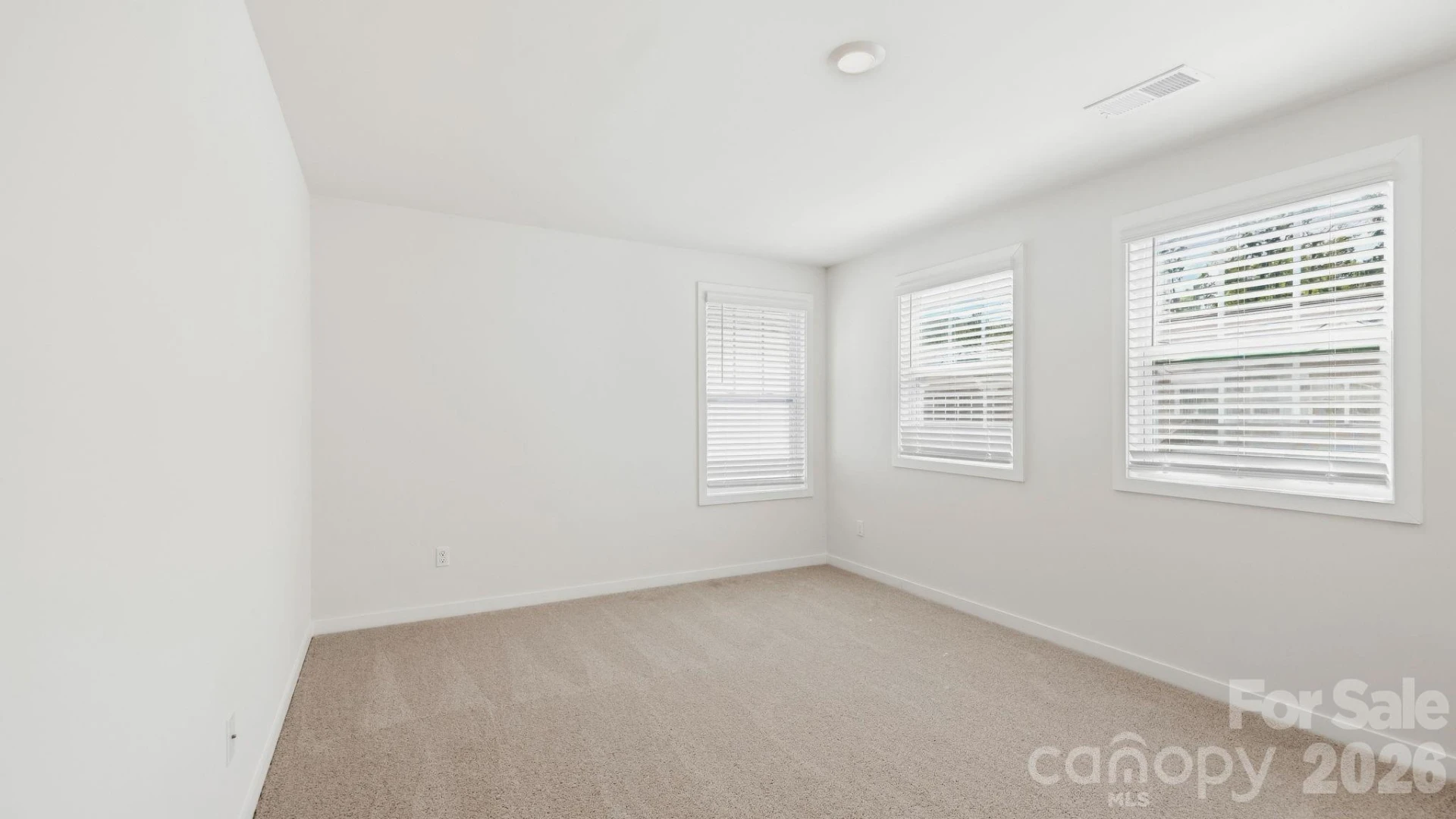 117 Sugg Trail - Photo 13