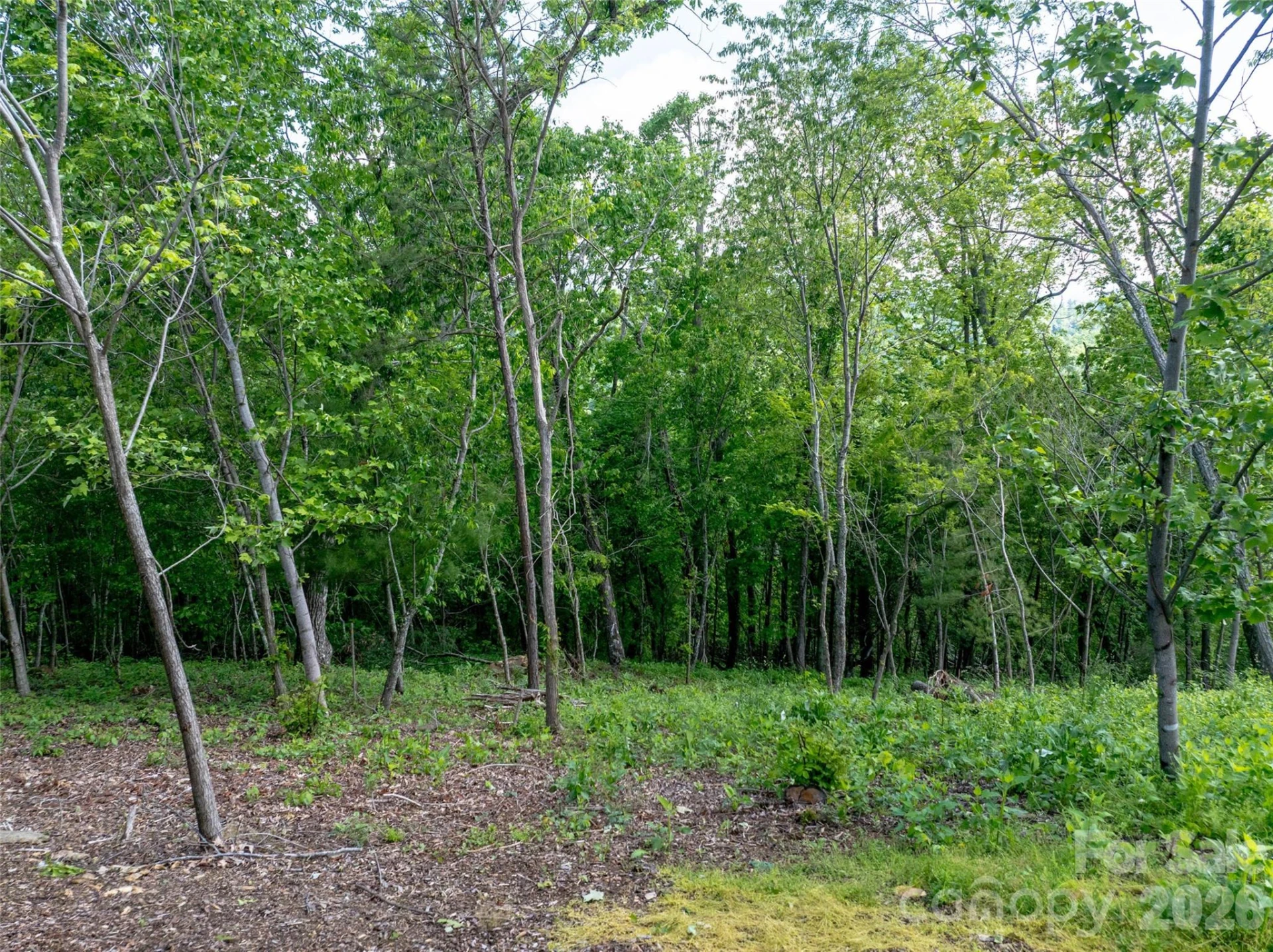 124 Summit Tower Circle - Photo 27