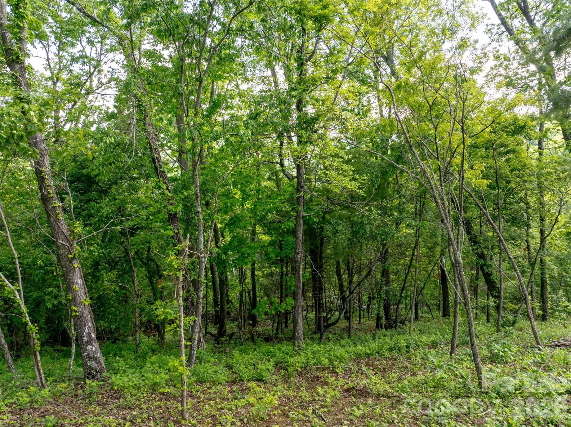 124 Summit Tower Circle - Photo 29