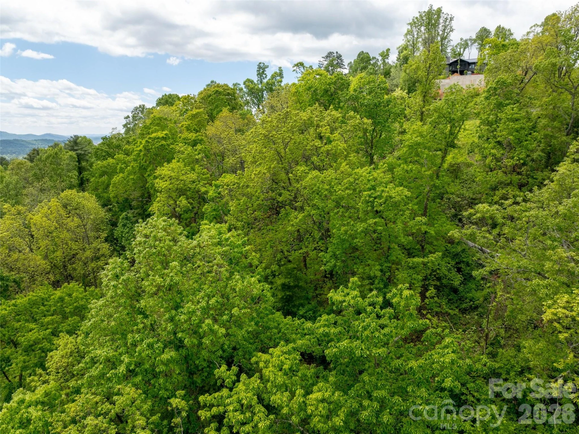 124 Summit Tower Circle - Photo 41