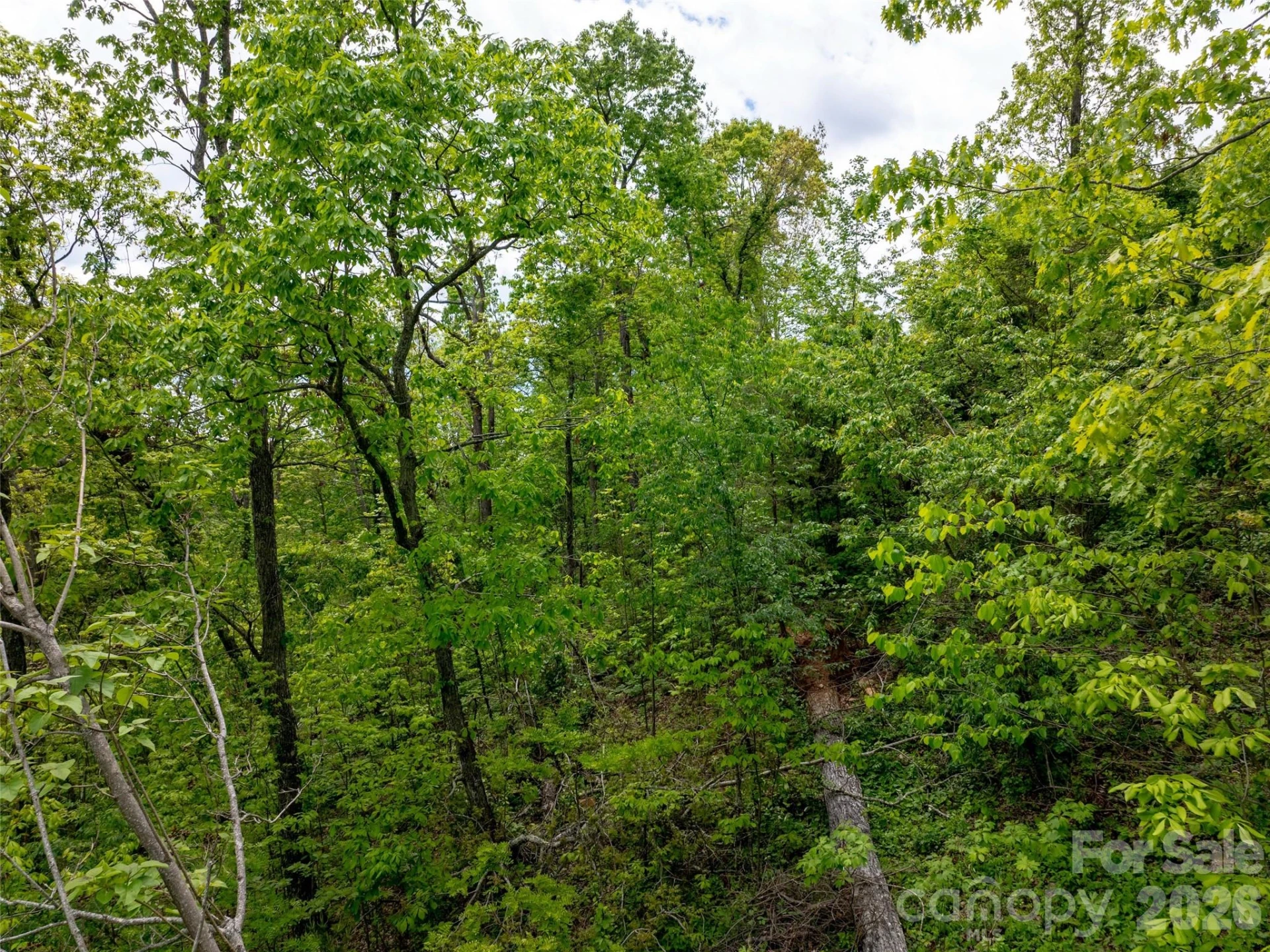 124 Summit Tower Circle - Photo 43