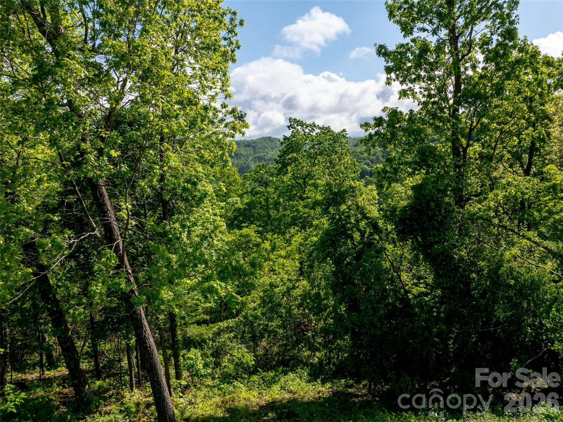 124 Summit Tower Circle - Photo 47