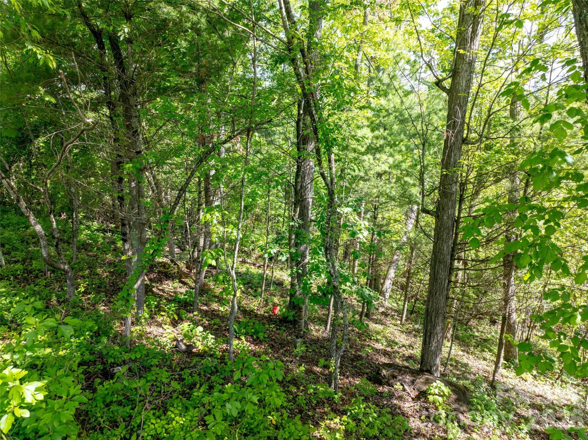 124 Summit Tower Circle - Photo 49