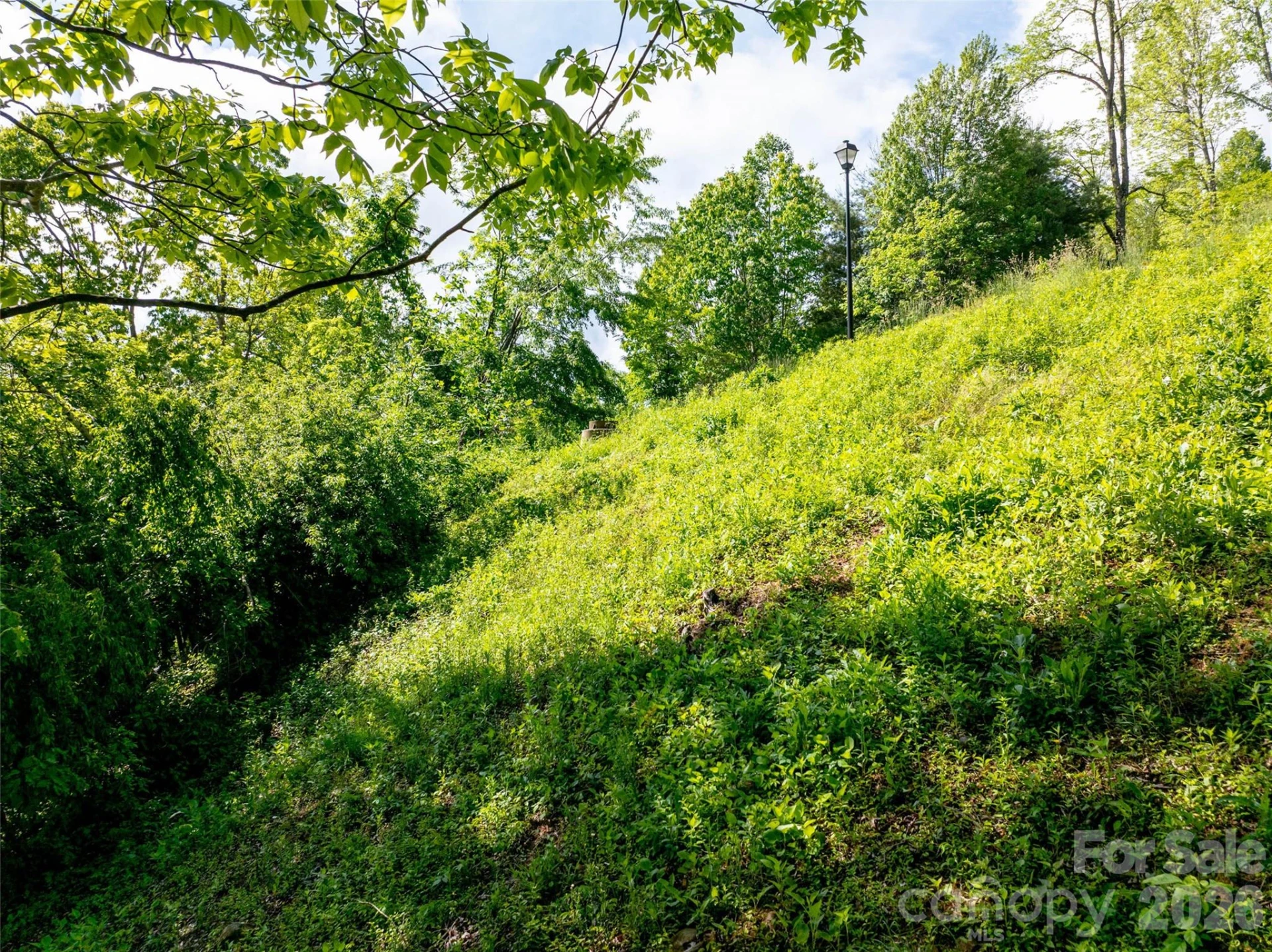 124 Summit Tower Circle - Photo 51