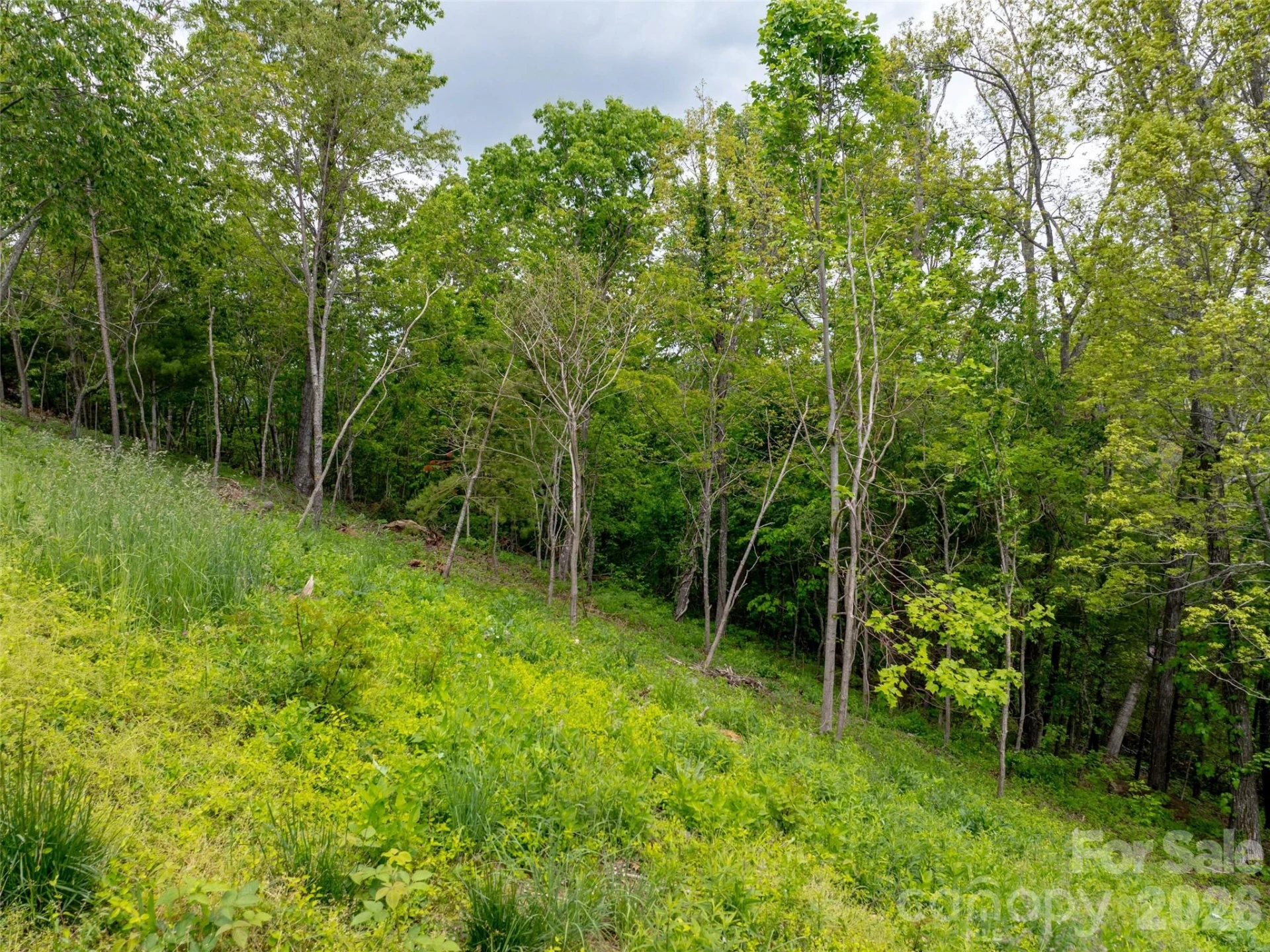 124 Summit Tower Circle - Photo 9