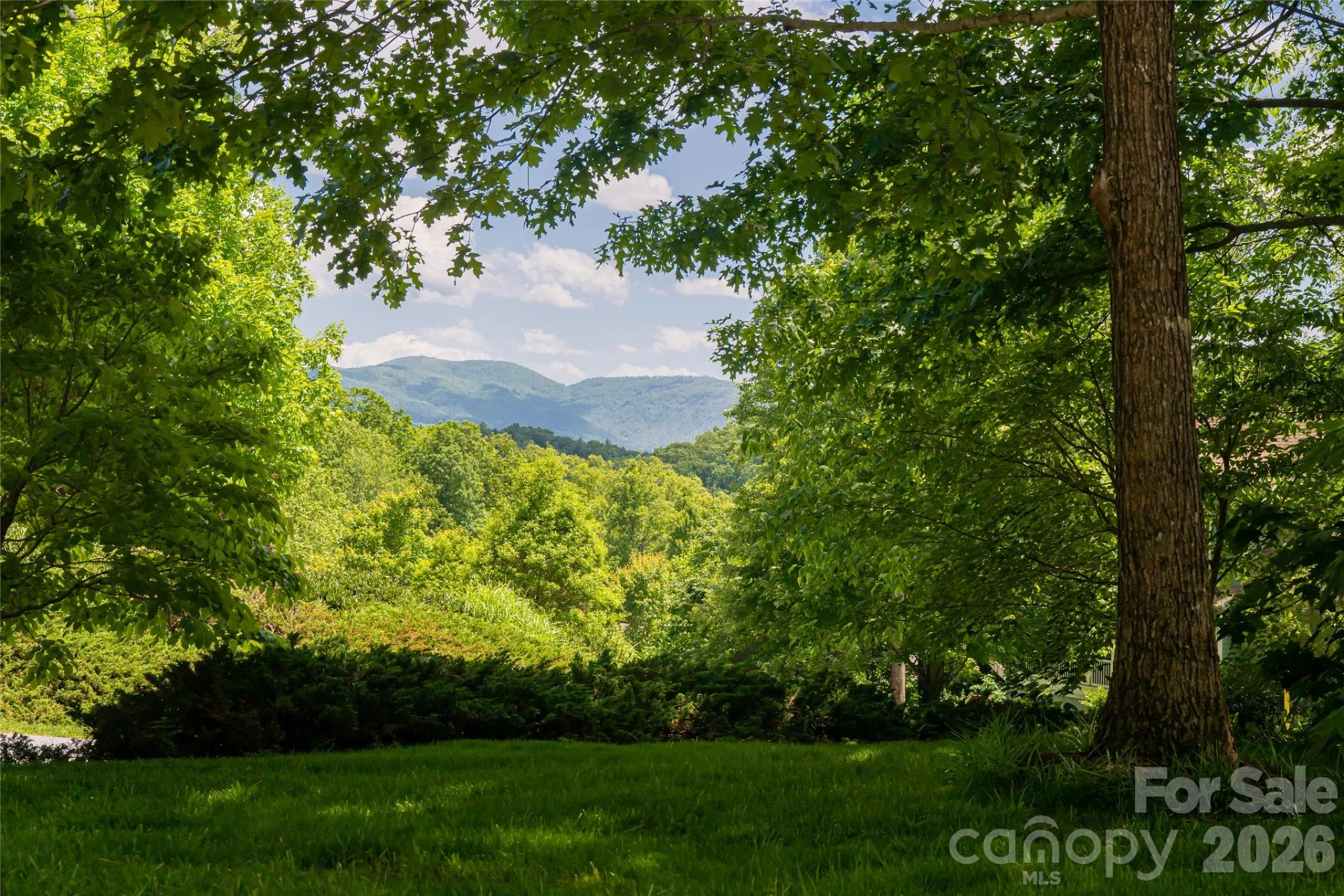 20 East Owl Creek Lane - Photo 6