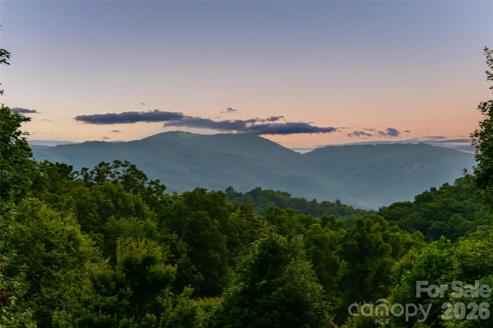 20 East Owl Creek Lane - Photo 39