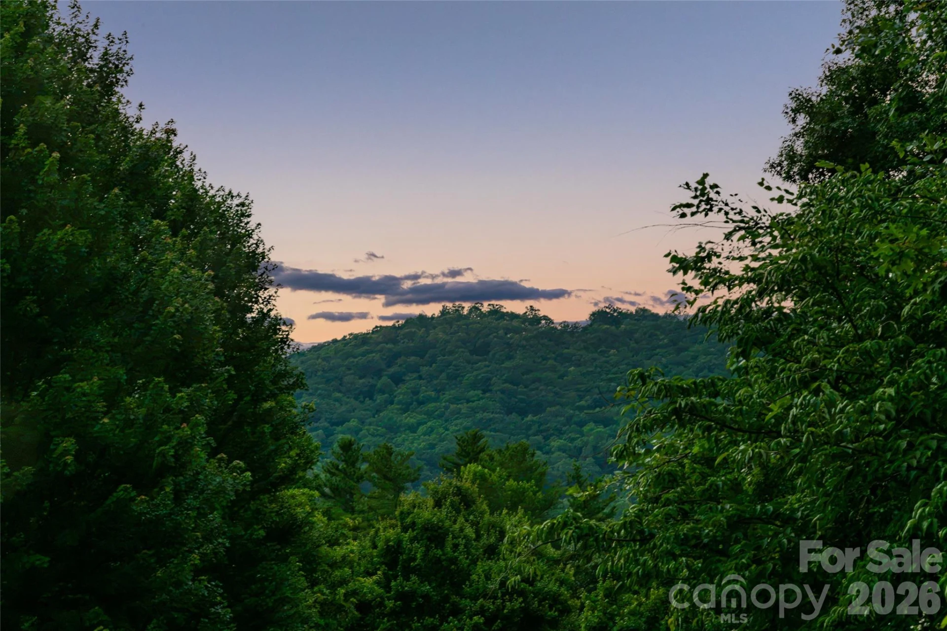20 East Owl Creek Lane - Photo 40