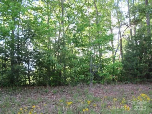 0 S Cross Creek Trail, Mill Spring, NC, 28756