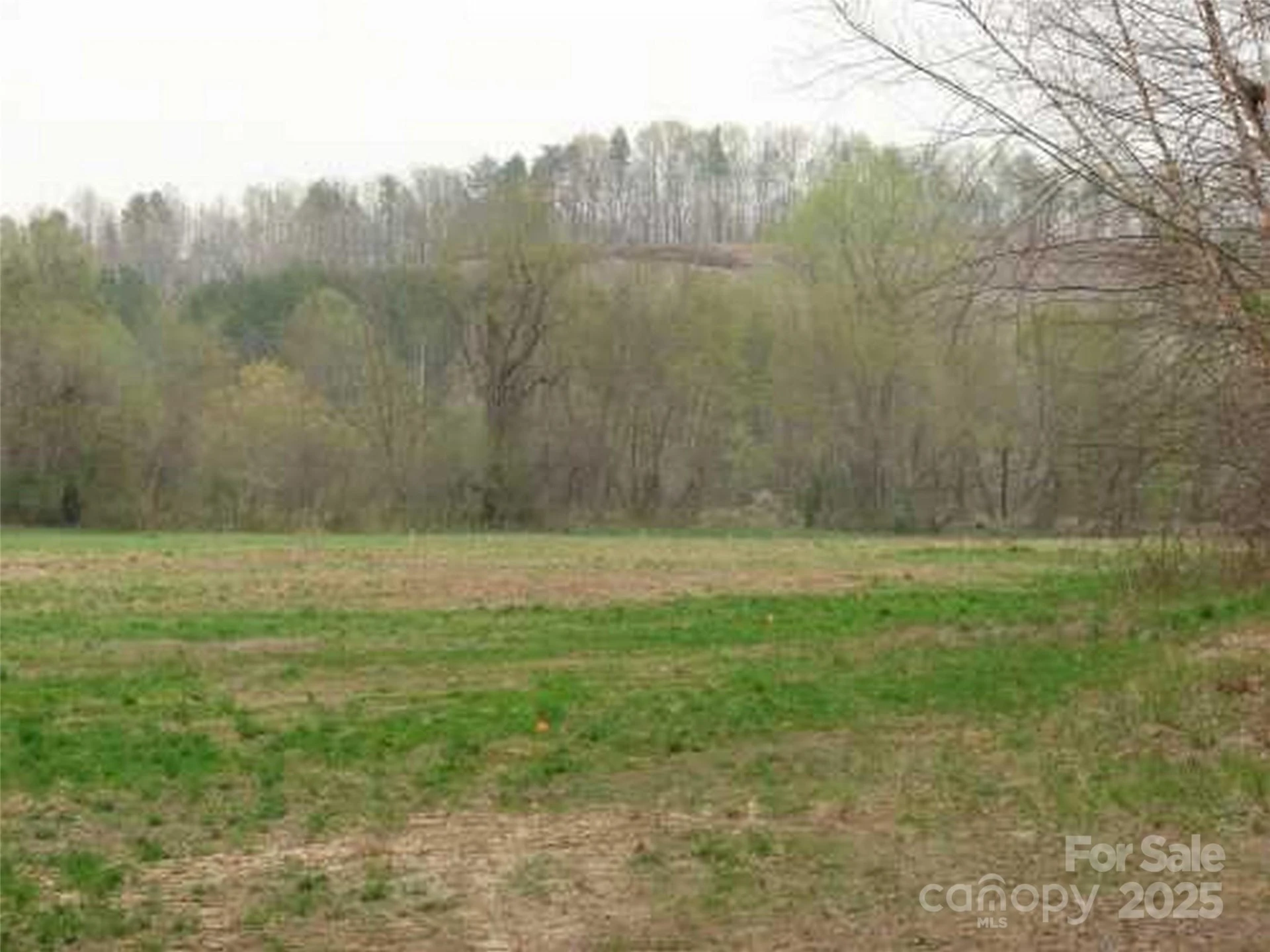 0 S Cross Creek Trail #12 - Photo 2