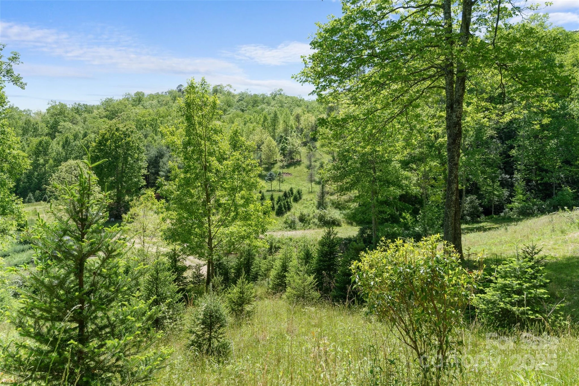 1557 Shoal Creek Road - Photo 17