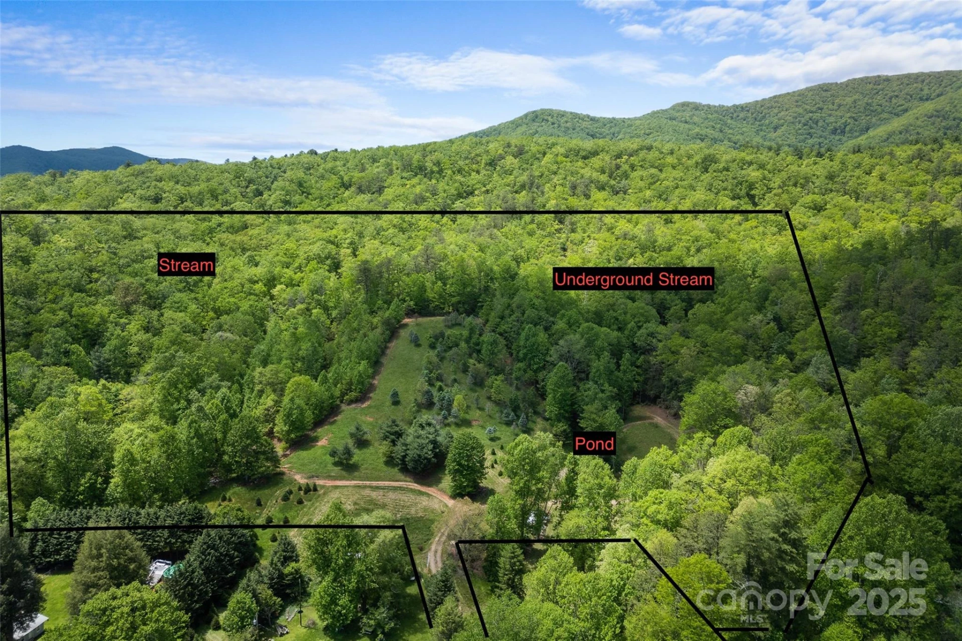 1557 Shoal Creek Road - Photo 22