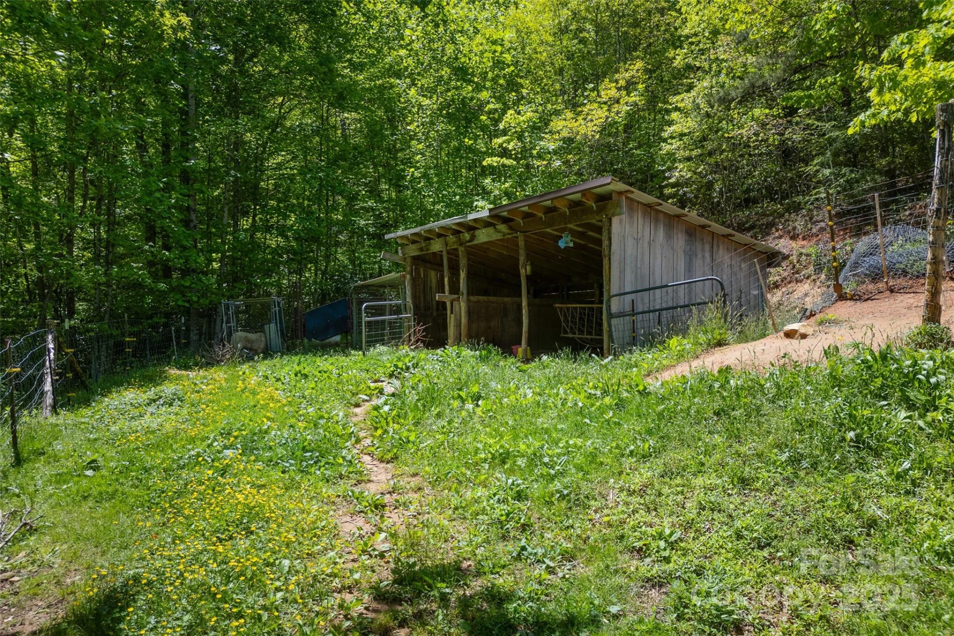 1557 Shoal Creek Road - Photo 24