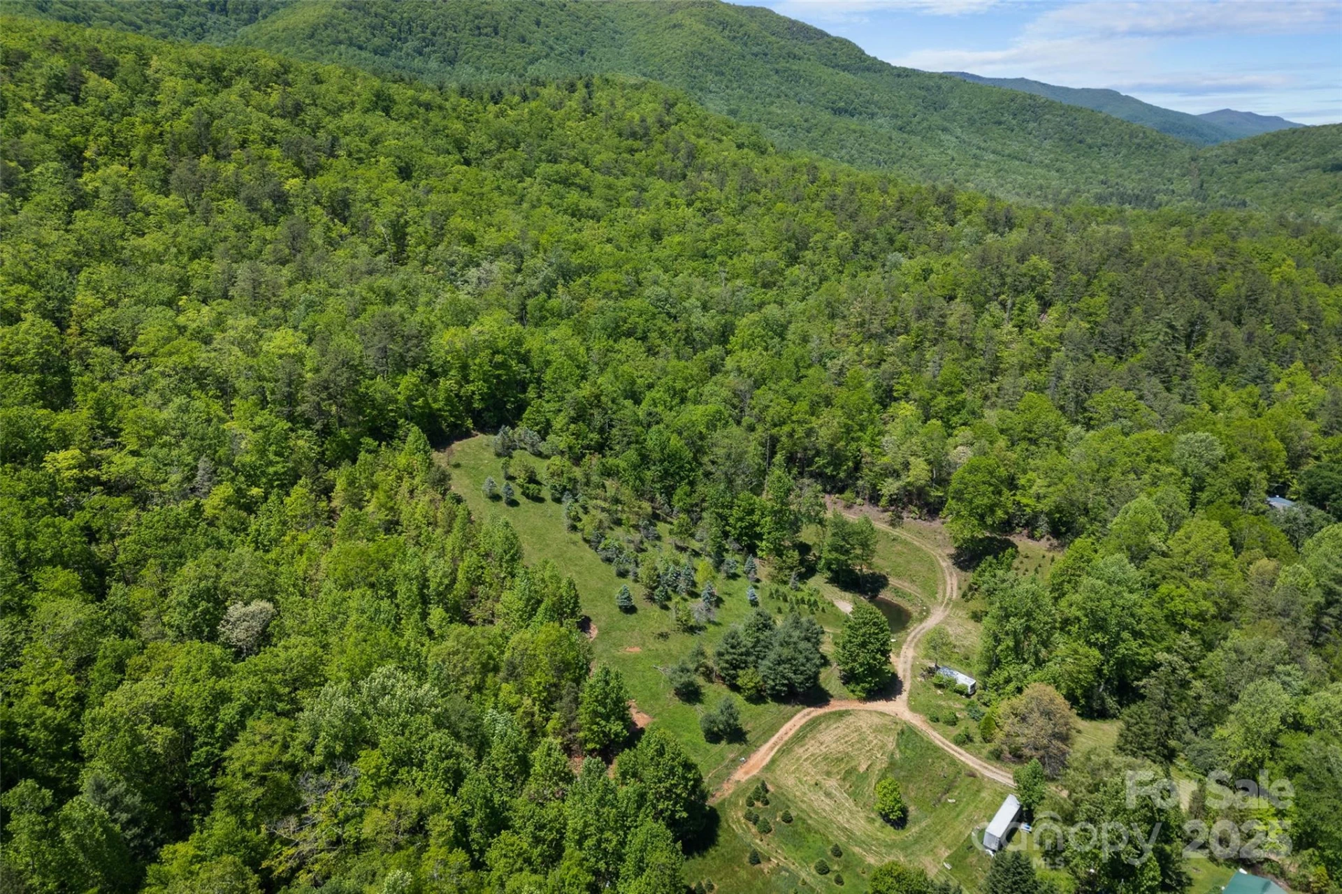 1557 Shoal Creek Road - Photo 25