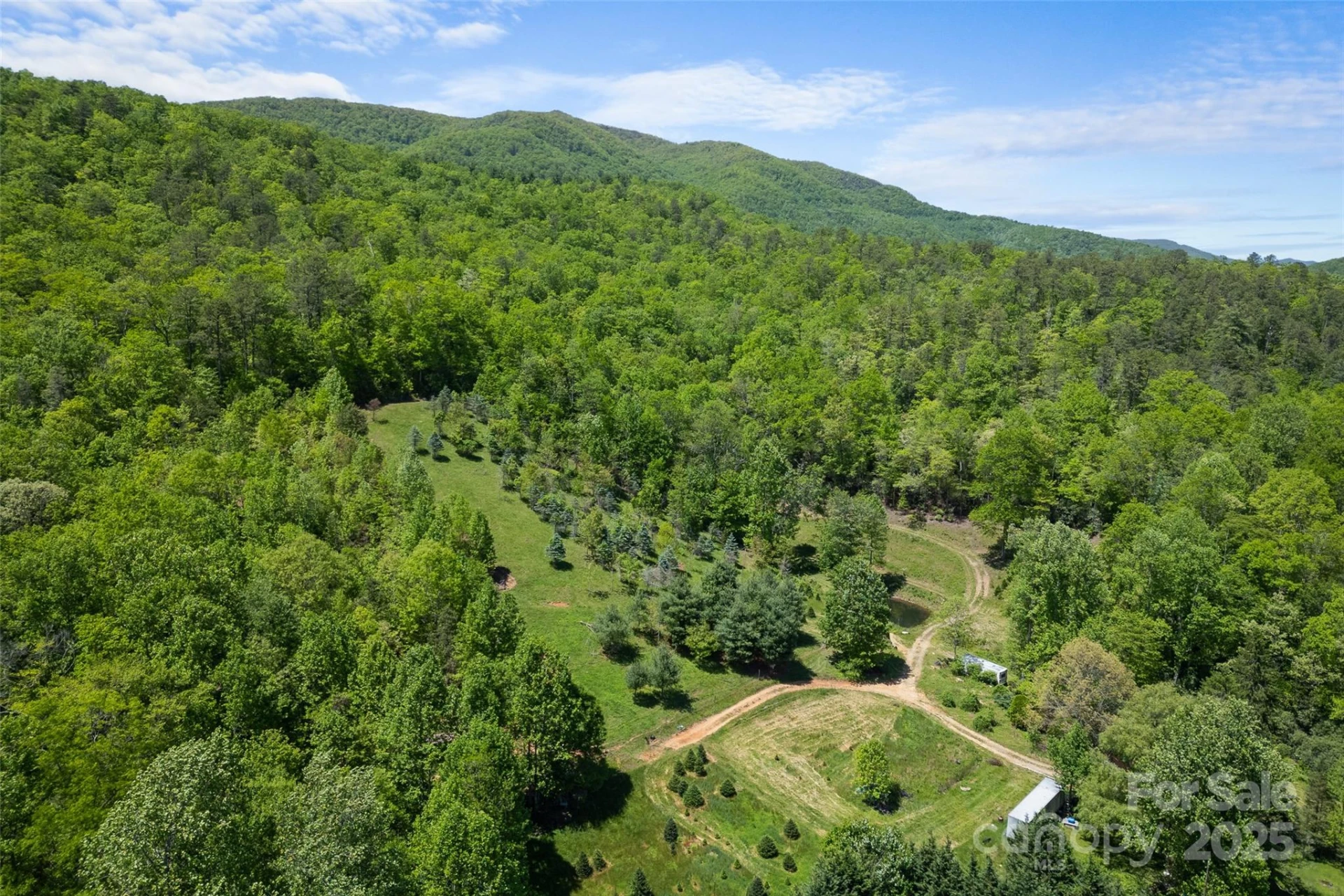 1557 Shoal Creek Road - Photo 26