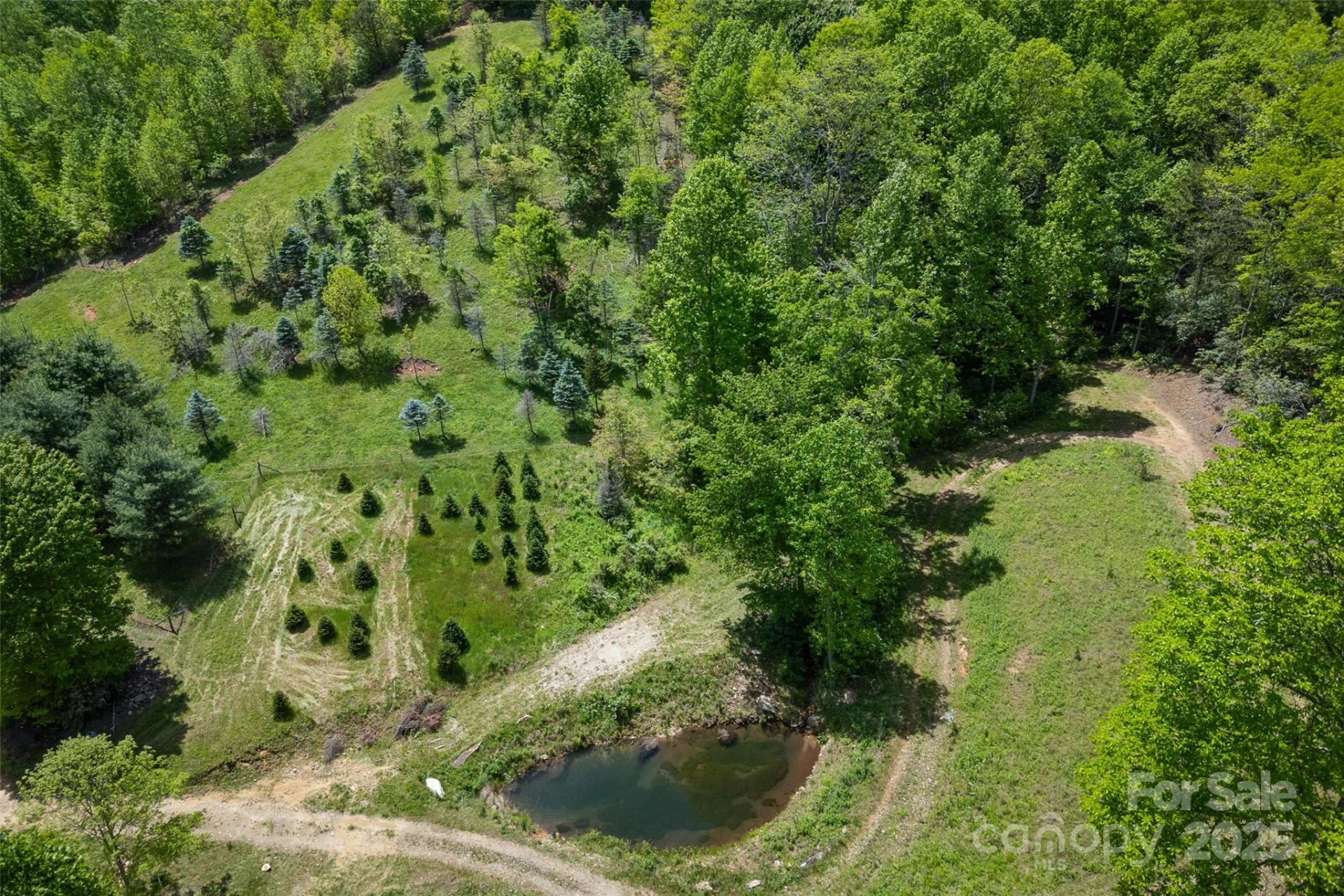 1557 Shoal Creek Road - Photo 5