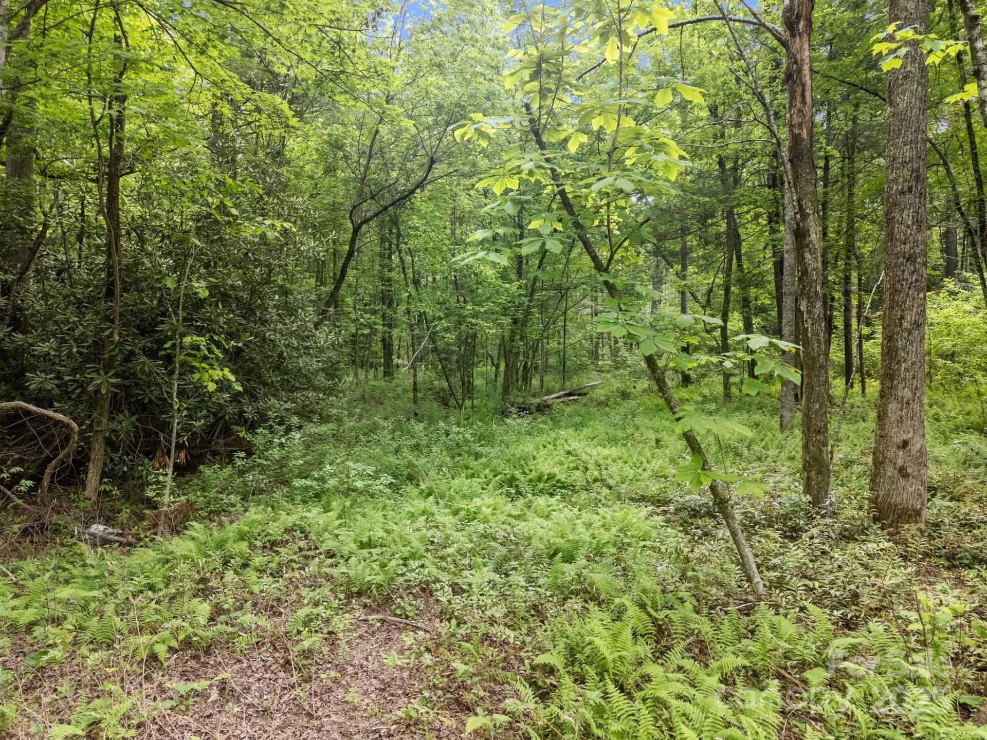 000 Red Fox Lane #18 - Photo 12
