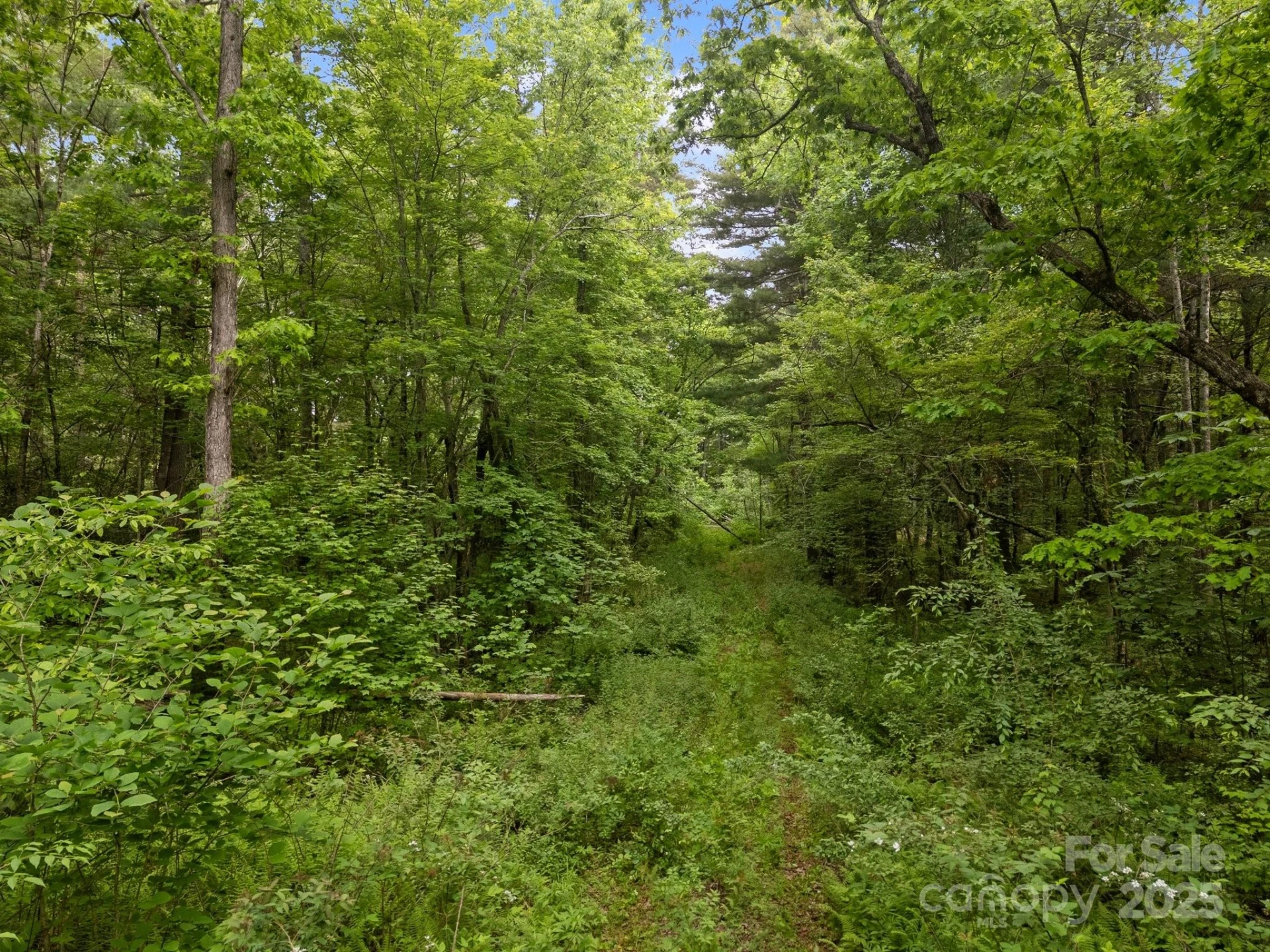 000 Red Fox Lane #18 - Photo 14