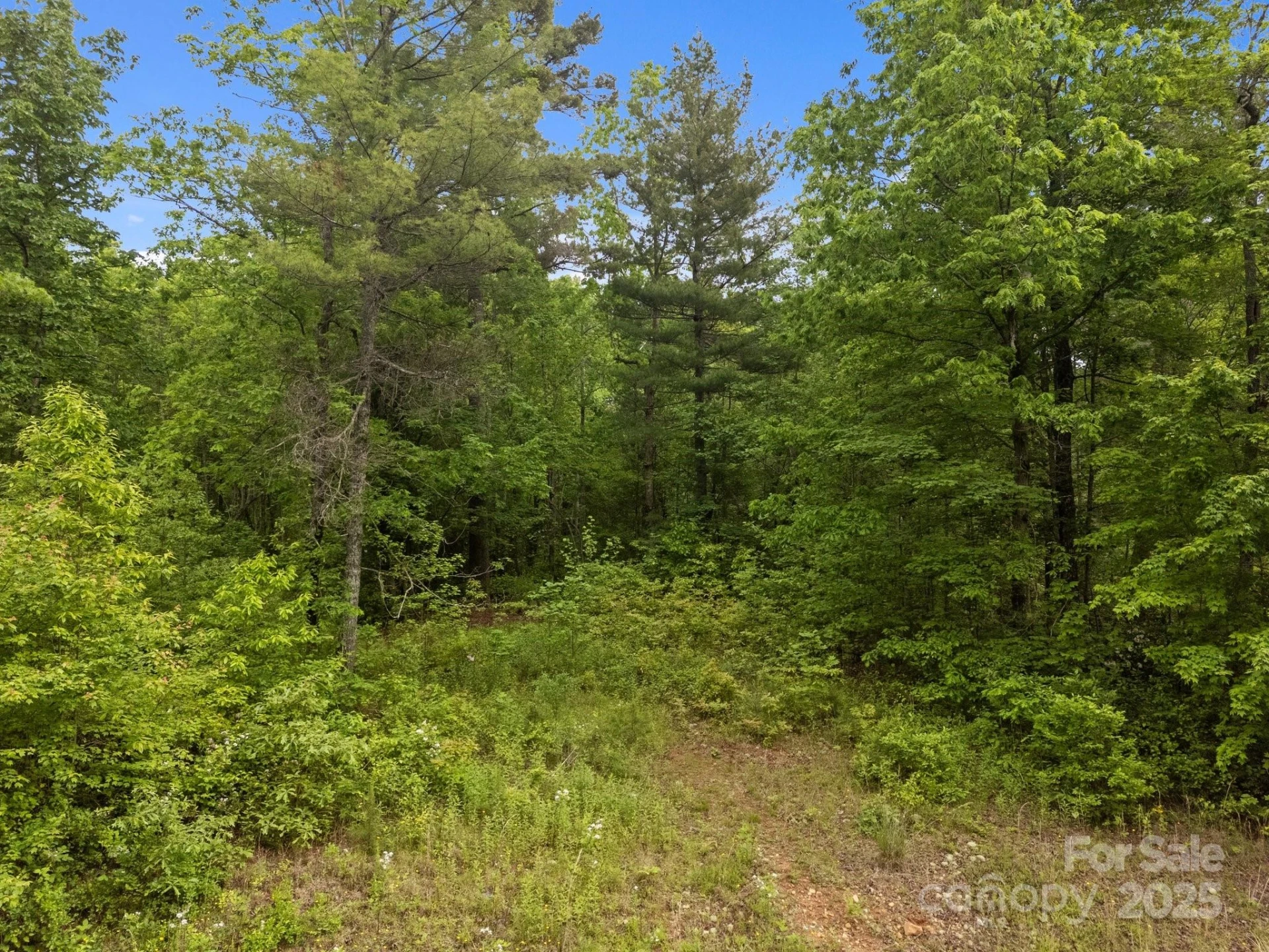 000 Red Fox Lane #18 - Photo 15