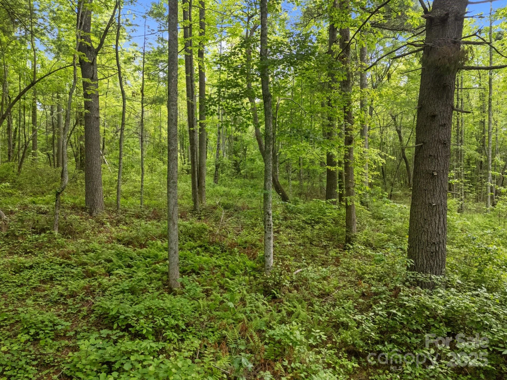 000 Red Fox Lane #18 - Photo 21