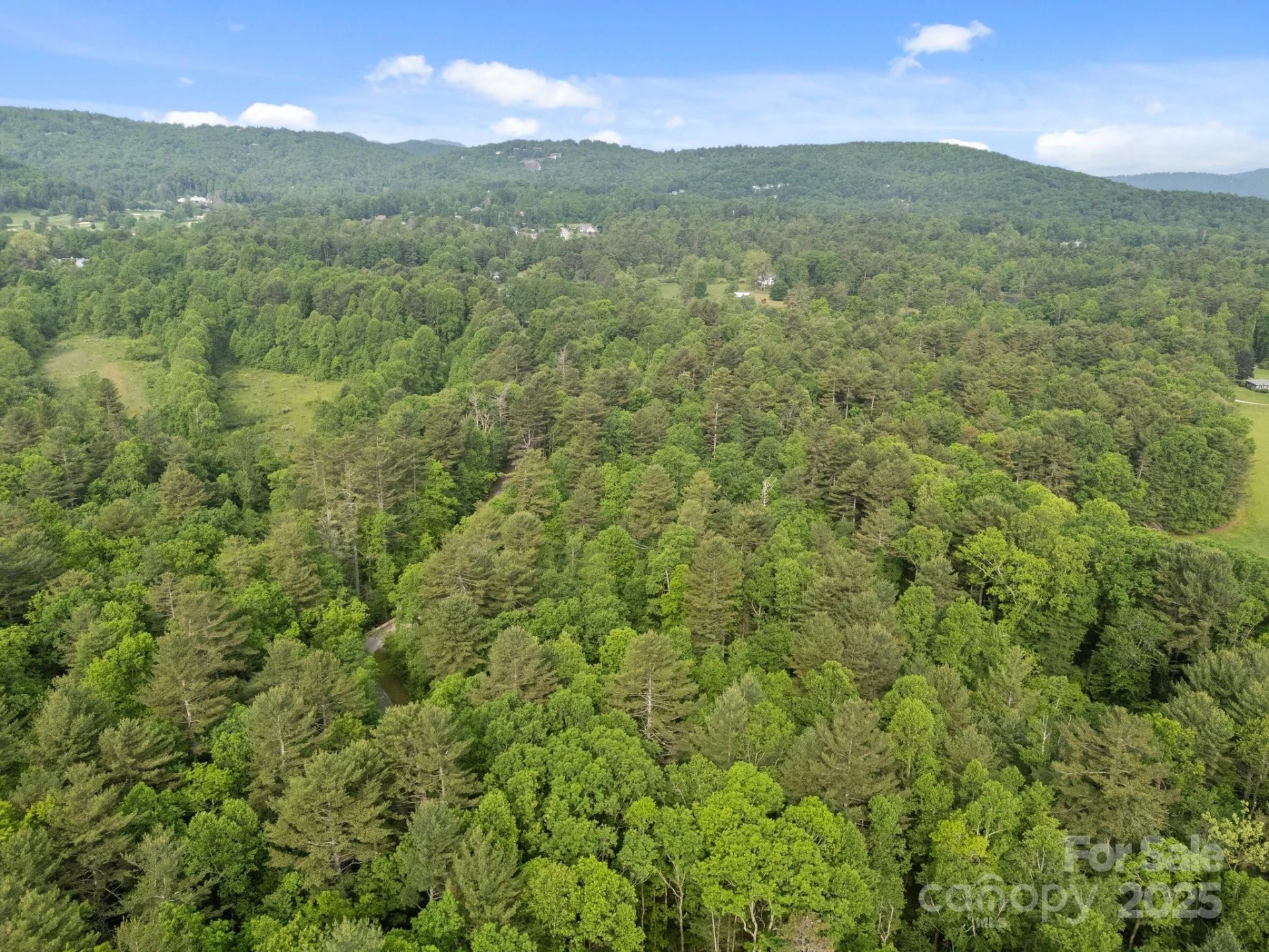 000 Red Fox Lane #18 - Photo 8