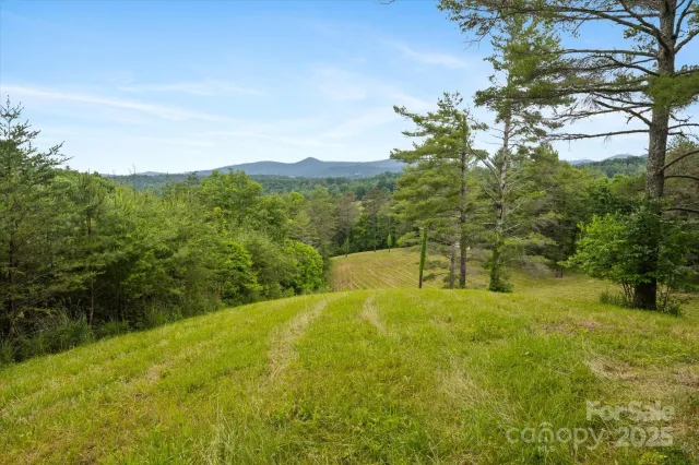 942 Paint Fork Road, Mars Hill, NC, 28754