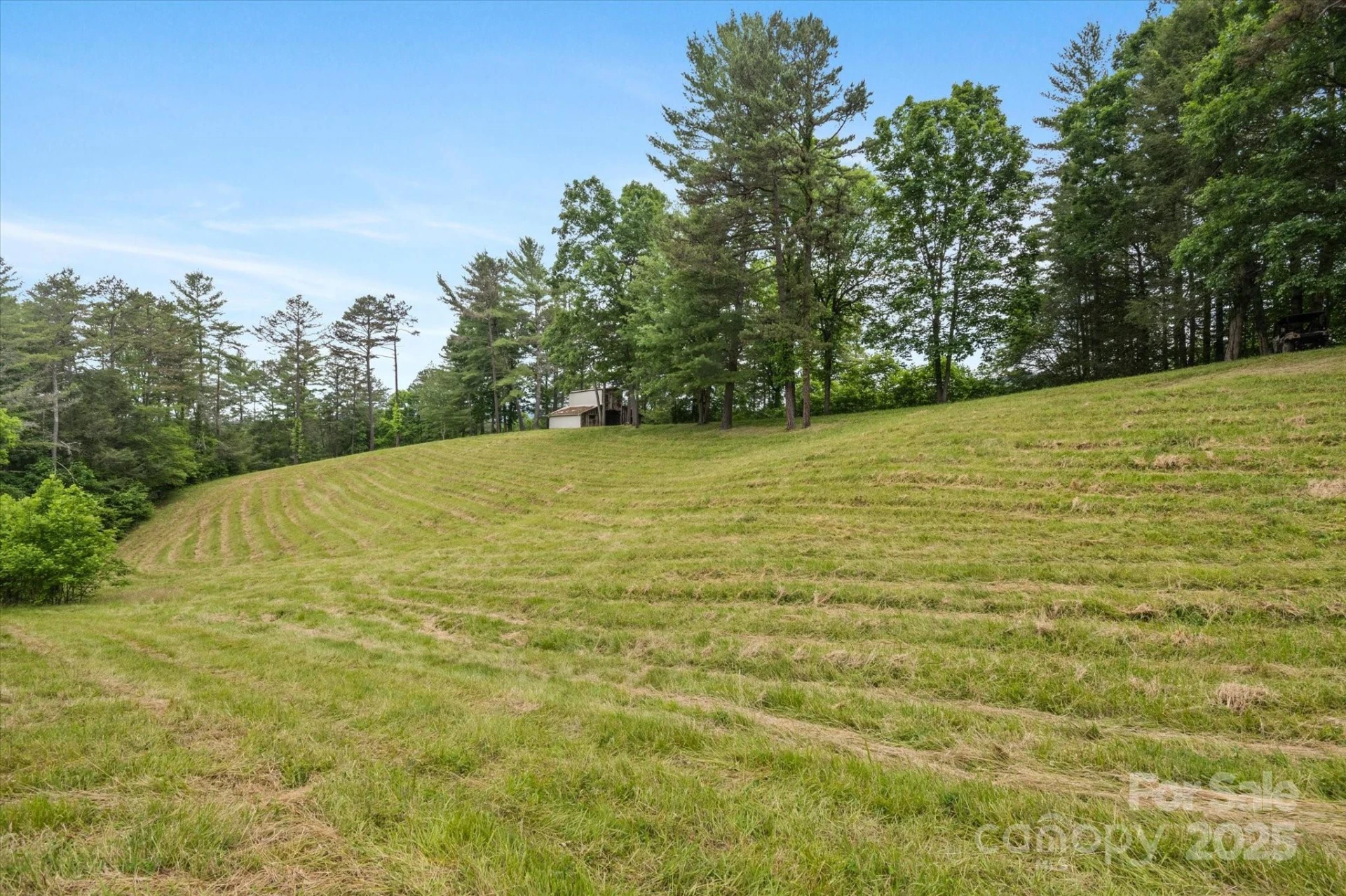 942 Paint Fork Road - Photo 35