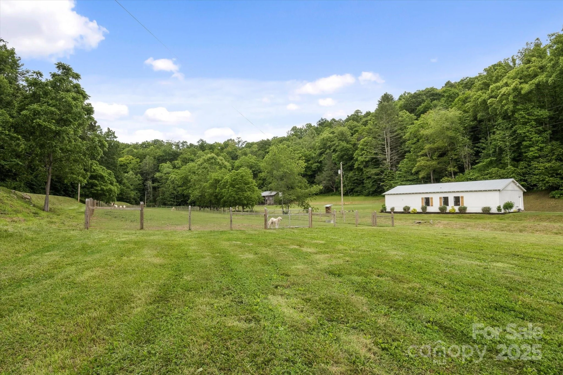 942 Paint Fork Road - Photo 42
