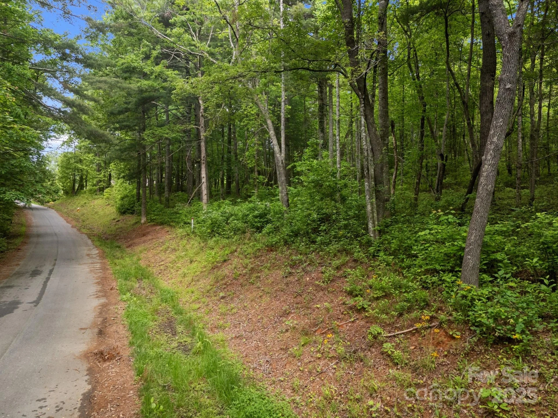 000 Red Fox Lane #17 - Photo 15