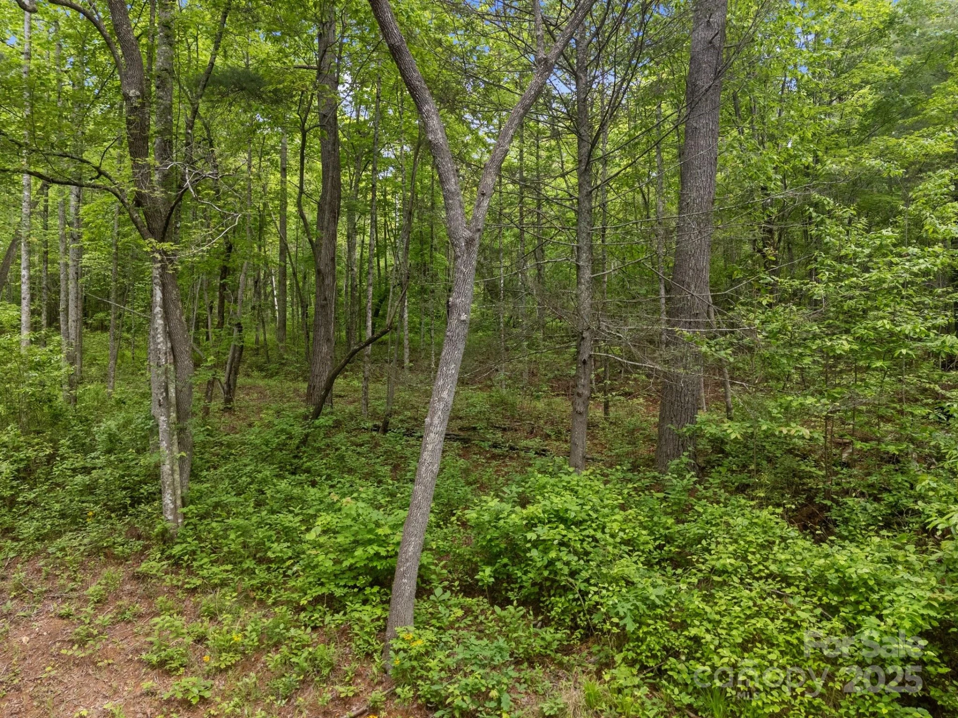 000 Red Fox Lane #17 - Photo 16