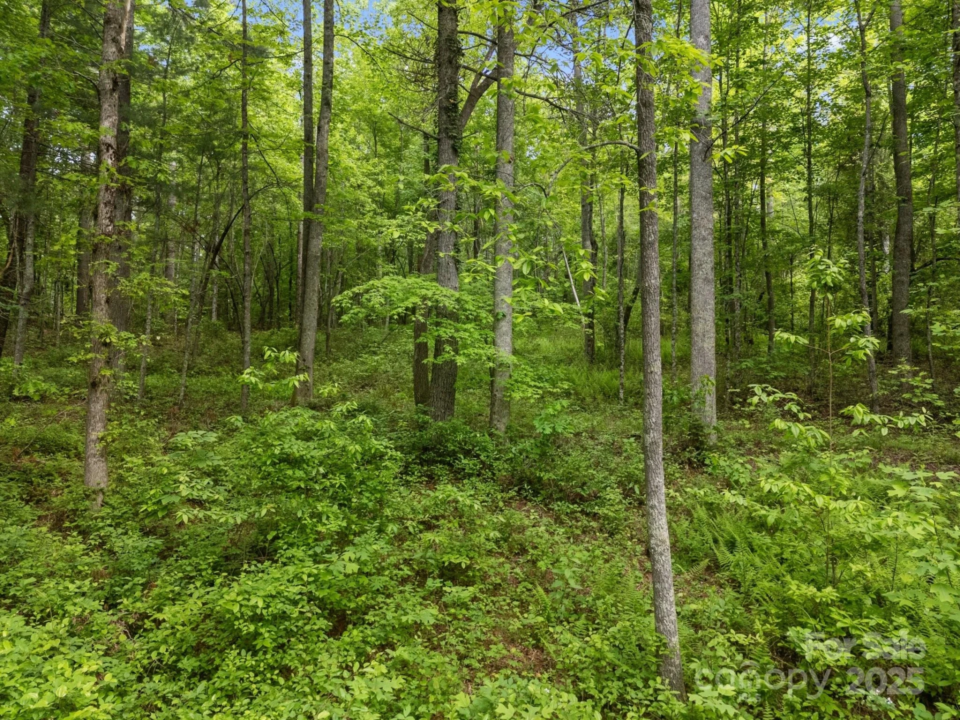 000 Red Fox Lane #17 - Photo 17